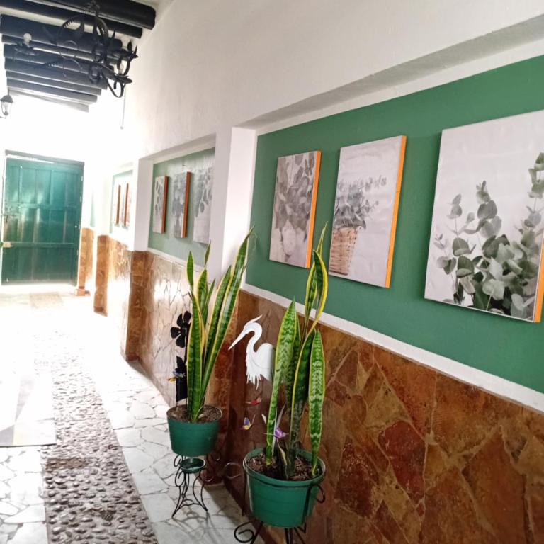 Apartamento Eucalyptus - Apartment - 10