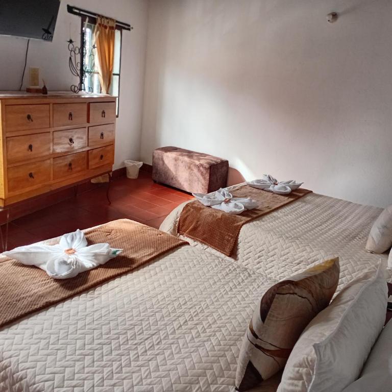 Apartamento Eucalyptus - Apartment - 16