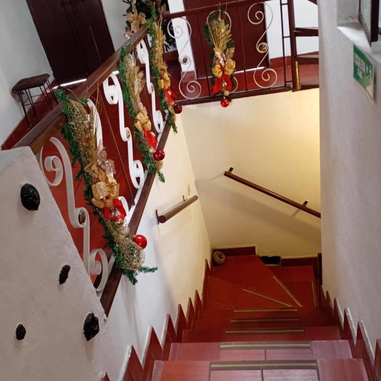 Apartamento Eucalyptus - Apartment - 25