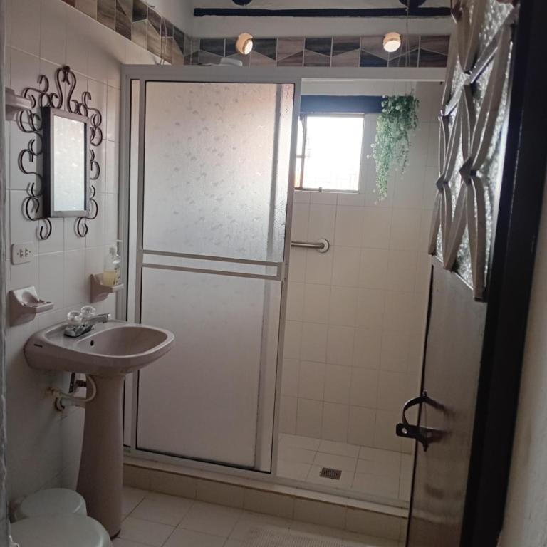 Apartamento Eucalyptus - Apartment - 35