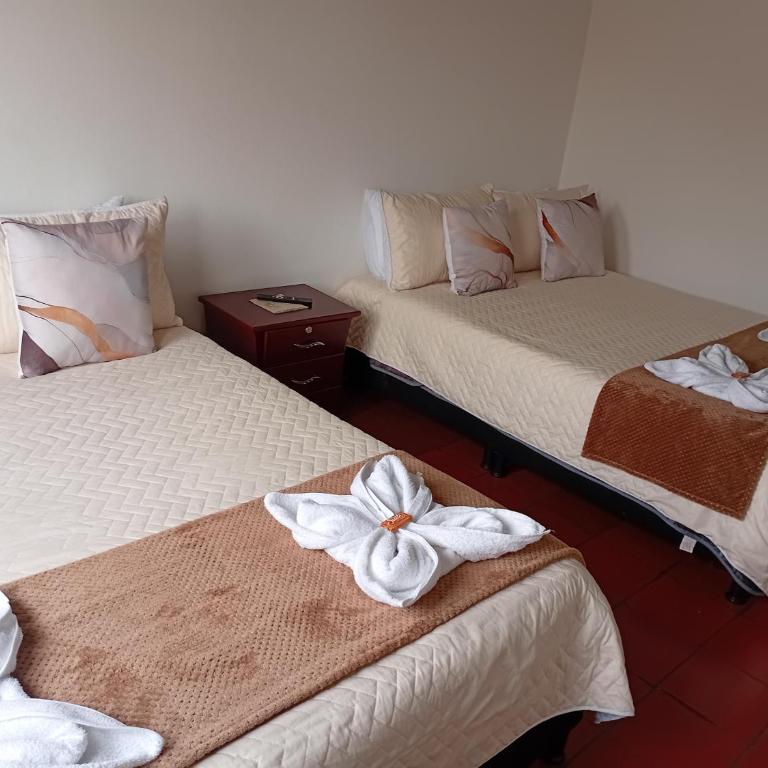 Apartamento Eucalyptus - Apartment - 41