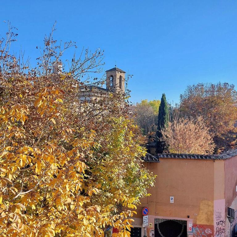 Tevere apartments - Appartamento - 10