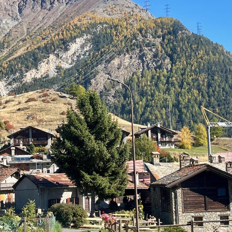 L'Atelier du Temps - Chalet Pompon - Appartement - 55
