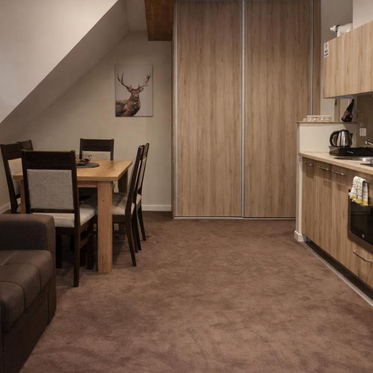 FEMI Kopaonik Apartment, Župa Aparthotel, Kopaonik Center - Apartman sa 1 Spavaćom Sobom - 10