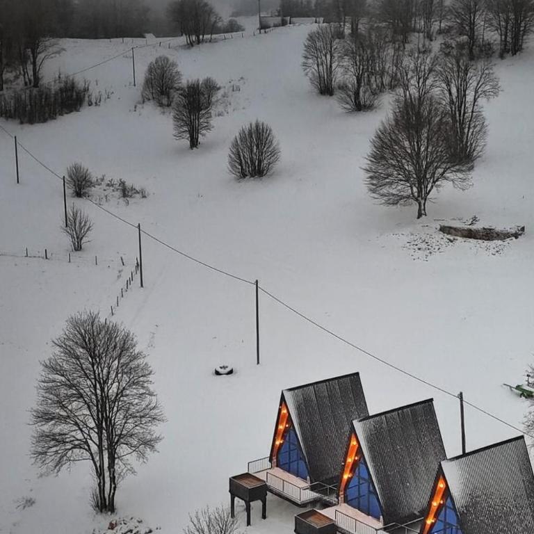 Homeland Nest - Chalet - 3