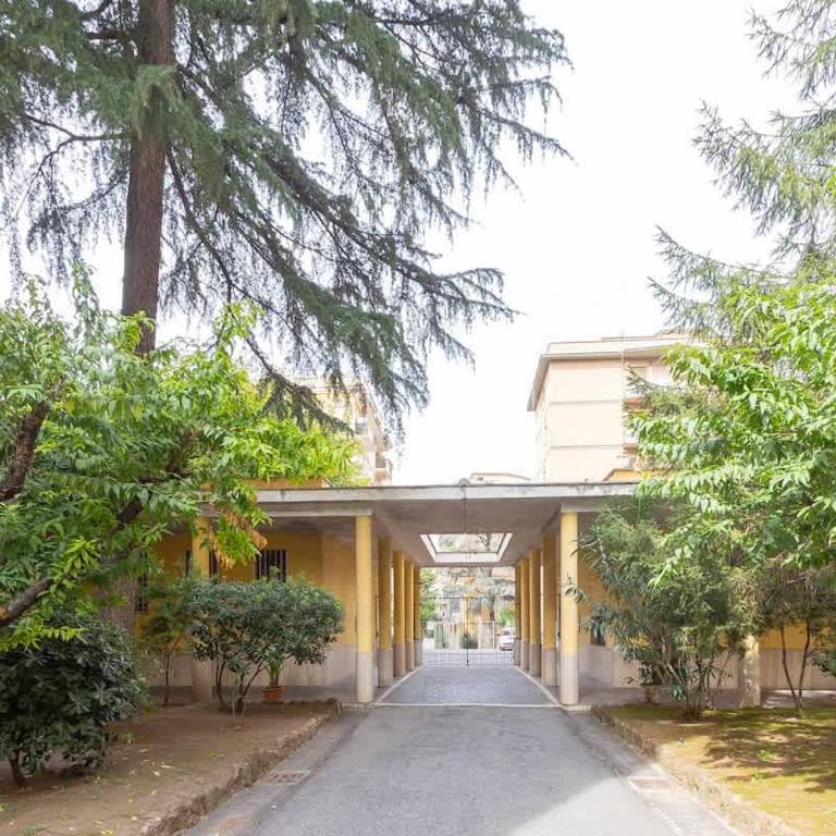 Nuovo appartamento ben collegato con il centro - Appartamento - 52