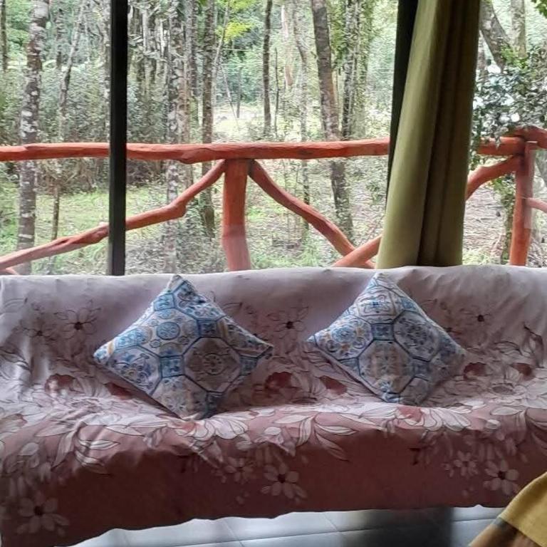 Cabaña Las Cascadas - One-Bedroom Apartment - 9
