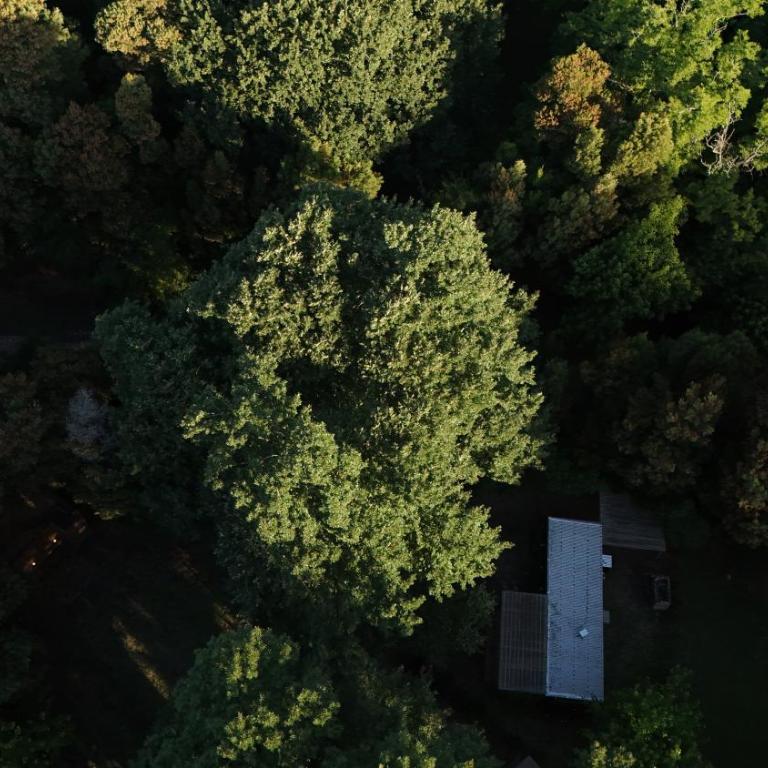 Cabañas en medio del bosque - Apartamento de 1 dormitorio - 7