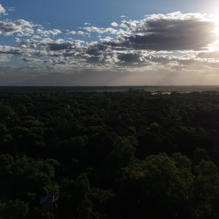 Cabañas en medio del bosque - Apartamento de 1 dormitorio - 3