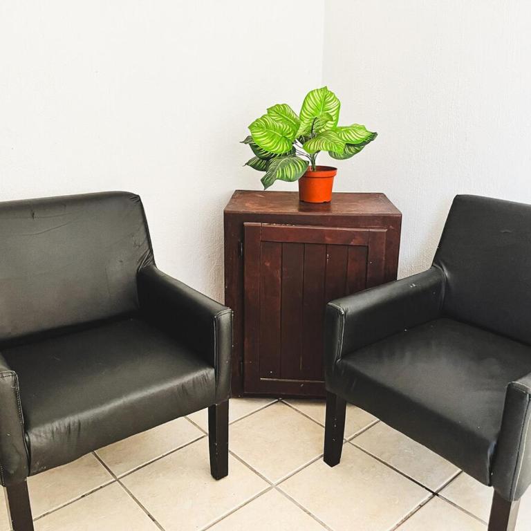 Mexican Cozy Apartment - Apartamento de 1 dormitorio - 4