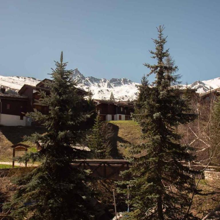 Appartement 3 pièces avec balcon, animaux admis, parking. 7 couchages, Hameau de la Forêt - FR-1-291-776 - Appartement (7 Adultes) - 15