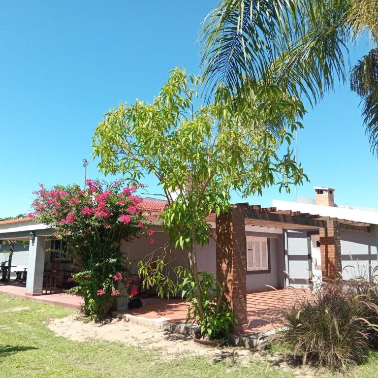 Casa quinta - Casa de 3 dormitorios - 10
