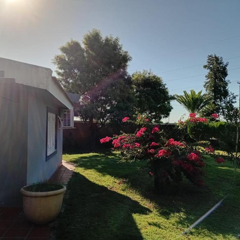 Casa quinta - Casa de 3 dormitorios - 14