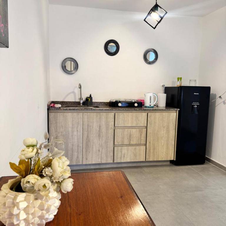 Moderno dpto zona norte 1 dorm - Apartamento de 1 dormitorio - 1