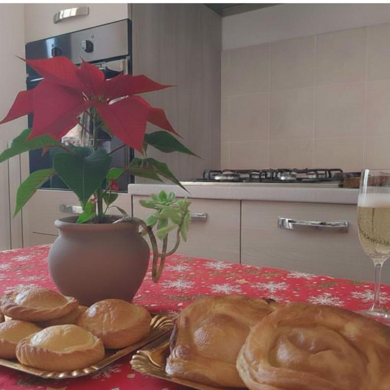 Lilium Lecce Centro - Appartamento - 4