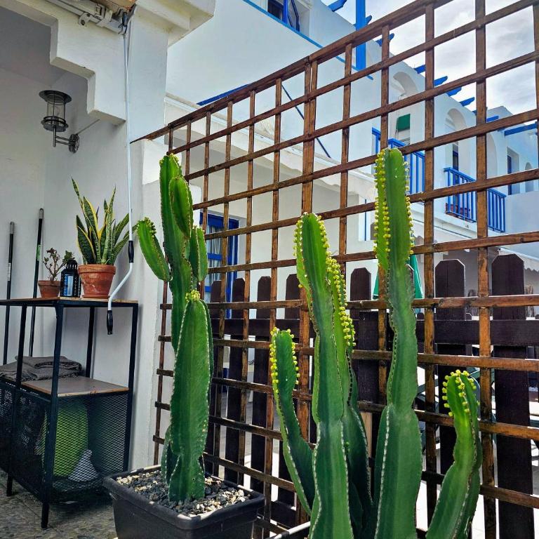 Isla Home Pool View - Casa con 1 dormitorio - 12