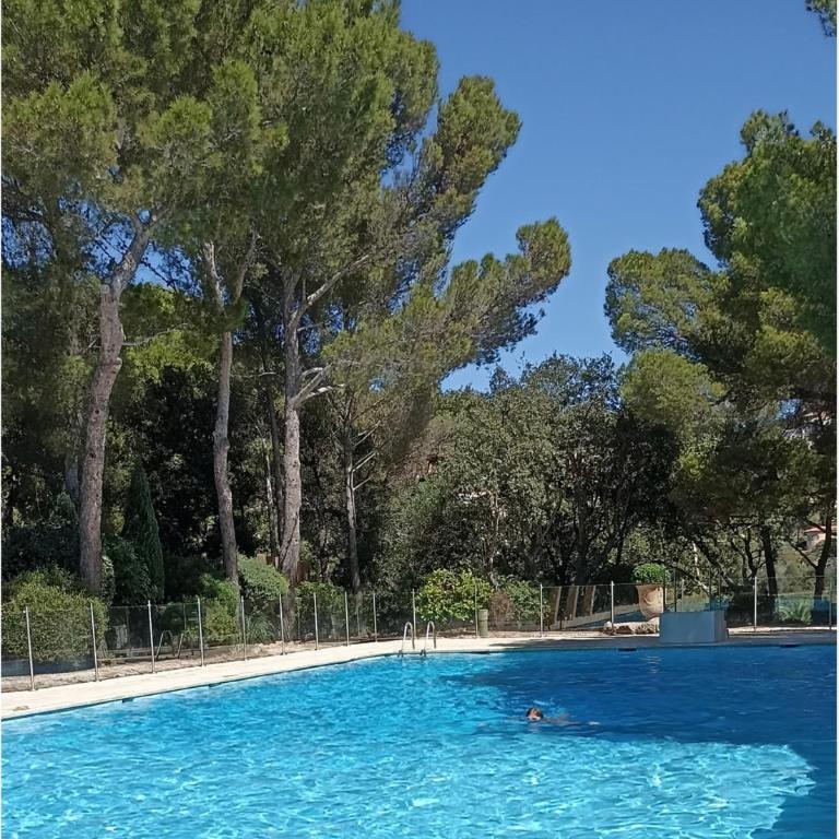 Paradis bleu - Appartement 1 Chambre - 20