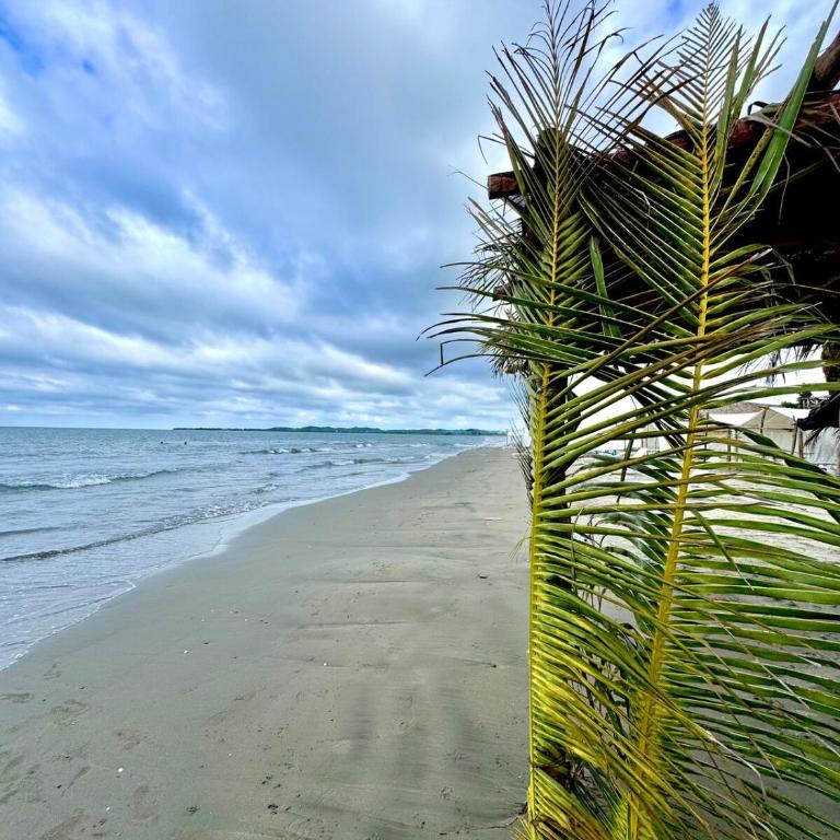 Capriella Serena del Mar in Cartagena - Apartamento de 1 dormitorio - 18