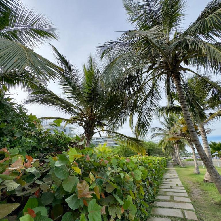 Capriella Serena del Mar in Cartagena - Apartamento de 1 dormitorio - 31