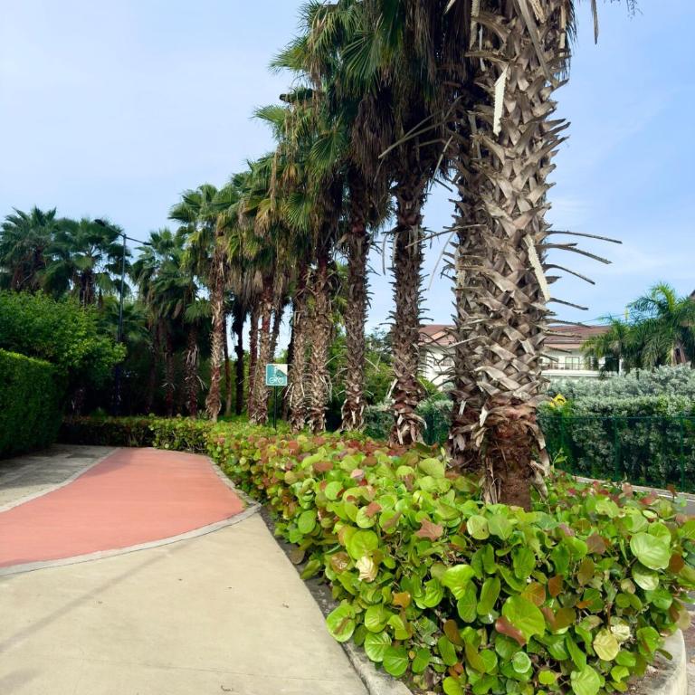 Capriella Serena del Mar in Cartagena - Apartamento de 1 dormitorio - 56