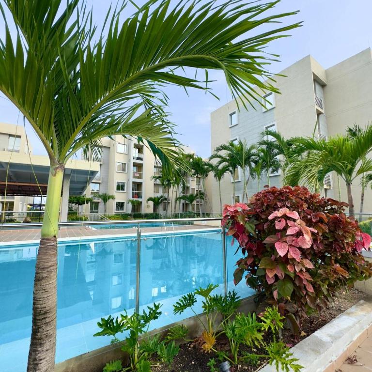 Capriella Serena del Mar in Cartagena - Apartamento de 1 dormitorio - 62