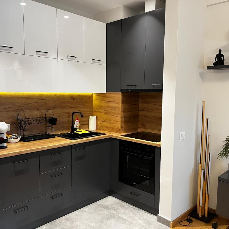 Apartman Julius Kalman - Apartman sa 1 Spavaćom Sobom - 7