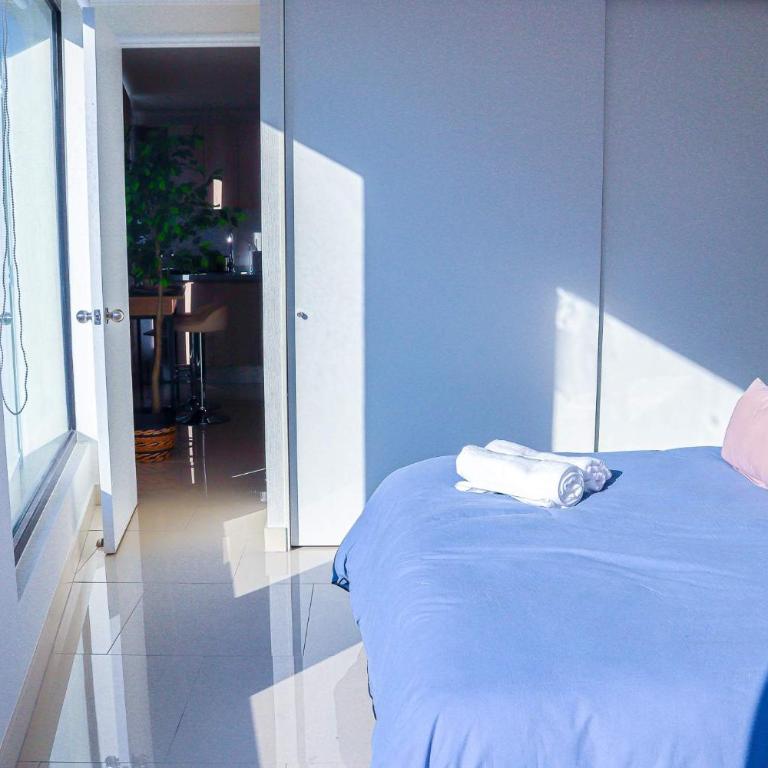 HOM I Wifi Urbano Vista Gastronomia Sacramentinos - Apartamento - 21