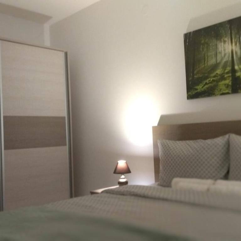 Sokobanja Apartmani - Apartman sa 1 Spavaćom Sobom - 16