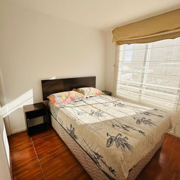 Alevarre - Three-Bedroom Apartment - 6