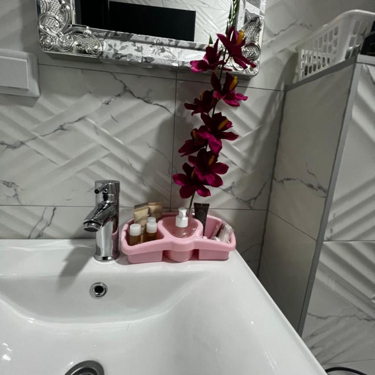 Apartmani M&DŽ Bihać - One-Bedroom Apartment - 1