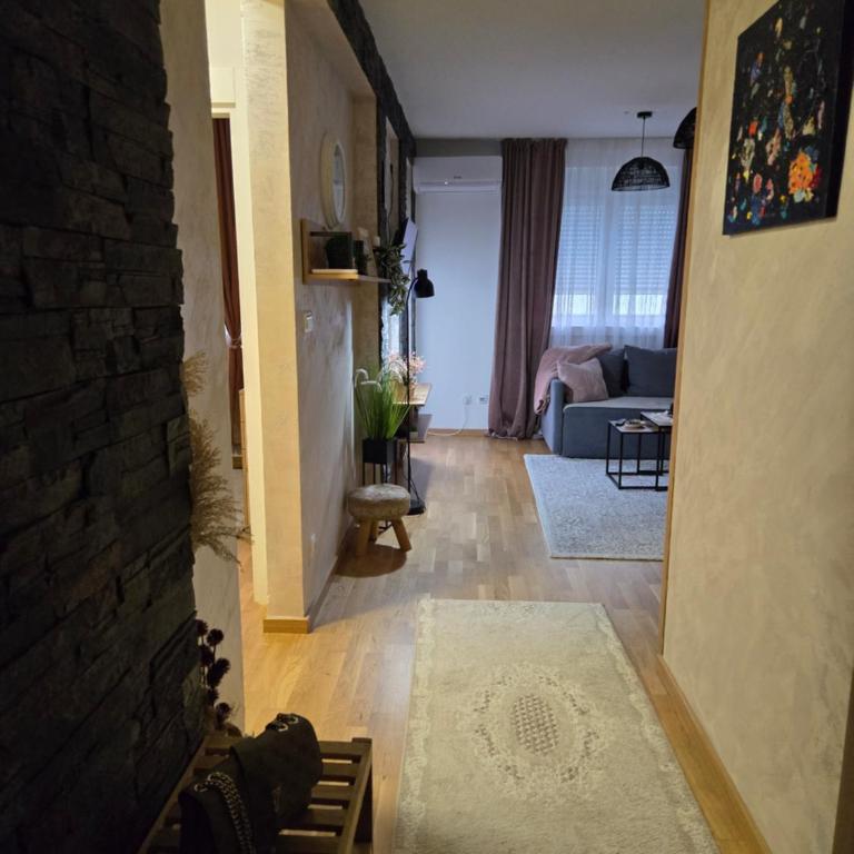Verona Lakic Vrnjacka Banja - Apartman sa 1 Spavaćom Sobom - 12