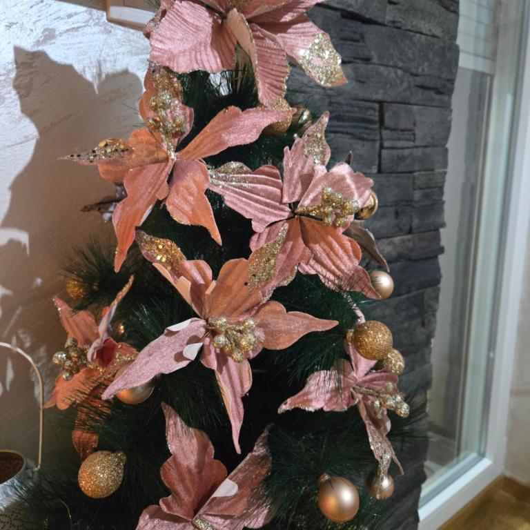 Verona Lakic Vrnjacka Banja - Apartman sa 1 Spavaćom Sobom - 4