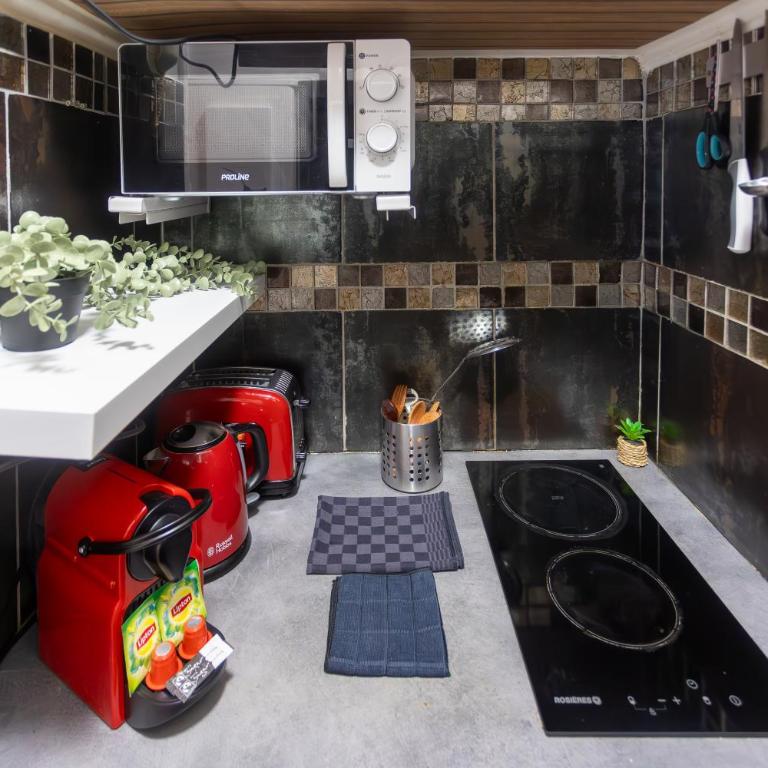 APPARTEMENT CHALEUREUX ARTISTIQUE QUARTIER GARE DU NORD - GARE DE L'EST et GRANDS BOULEVARDS - Appartement 1 Chambre - 8