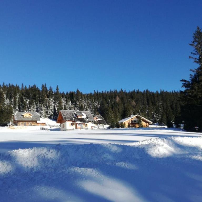 Holiday Home Schönberghütte by Interhome - Ferienhaus - 43