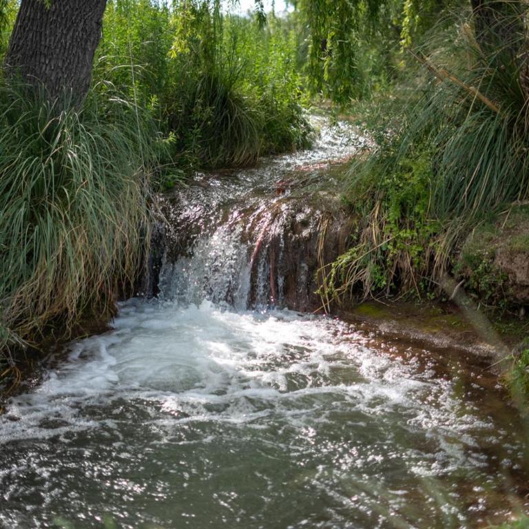 Villa Oliva - Apartamento - 9