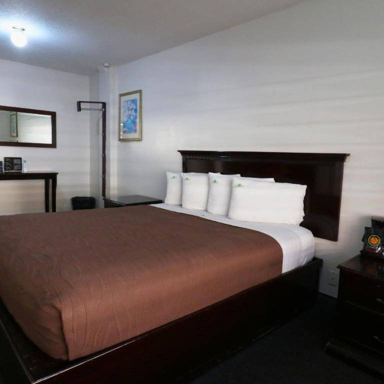 HOTEL BUGAMBILIAS - Habitación Estándar - 1 cama grande - 9