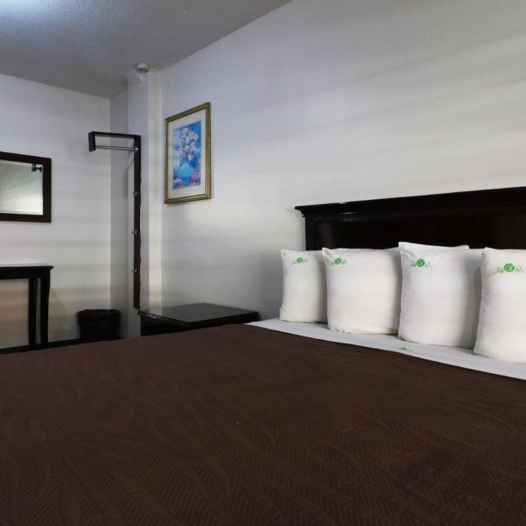 HOTEL BUGAMBILIAS - Habitación Estándar - 1 cama grande - 8
