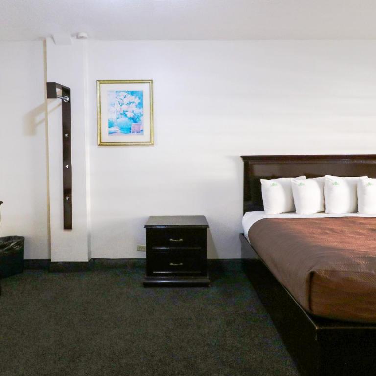 HOTEL BUGAMBILIAS - Habitación Estándar - 1 cama grande - 13
