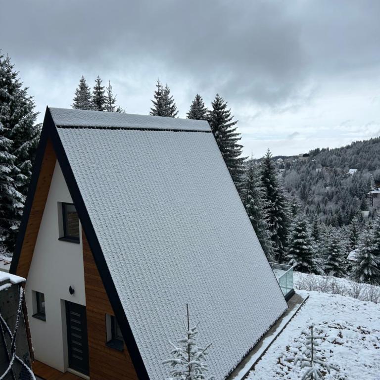 Tara mountain house Kopaonik - Two-Bedroom House - 14