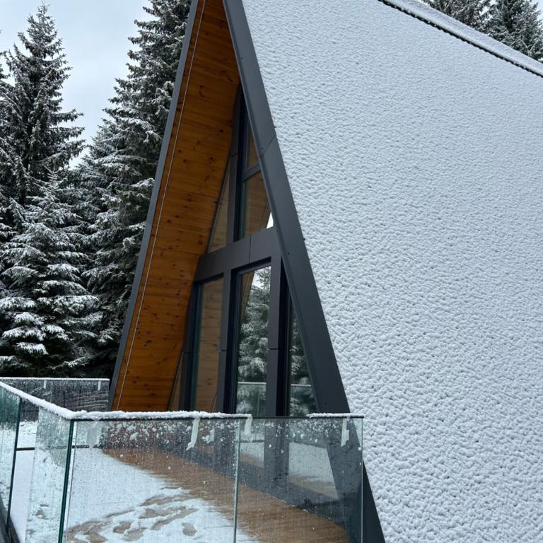 Tara mountain house Kopaonik - Two-Bedroom House - 13