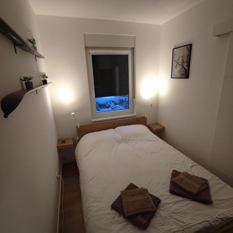 Apartman Dve Skije, Apartmani Šišarka - One-Bedroom Apartment - 18