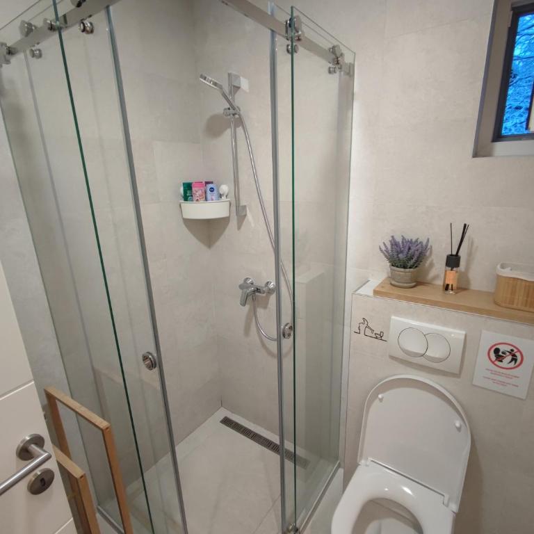 Apartman Dve Skije, Apartmani Šišarka - One-Bedroom Apartment - 15