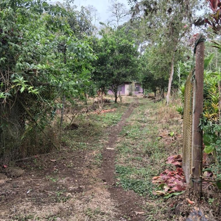 La Loma - One-Bedroom House - 6