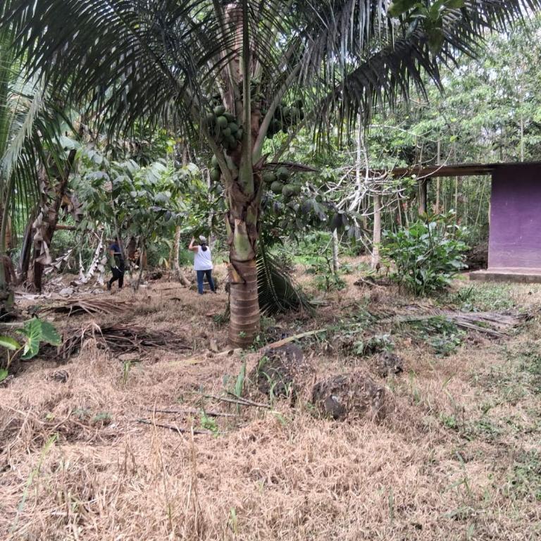 La Loma - One-Bedroom House - 7