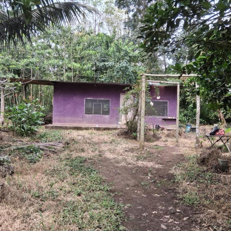 La Loma - One-Bedroom House - 8