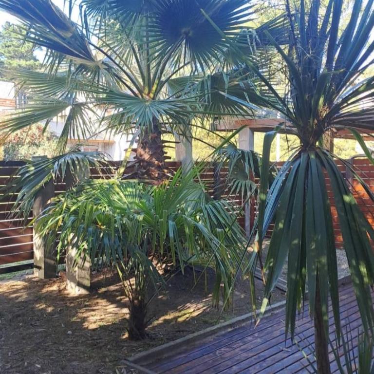 Casas encuentros de pinares - Casa con 1 dormitorio - 24