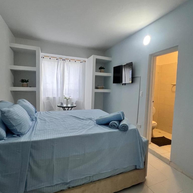 Apartment 5 min from Pascual Guerrero Stadium - Apartamento de 1 dormitorio - 20