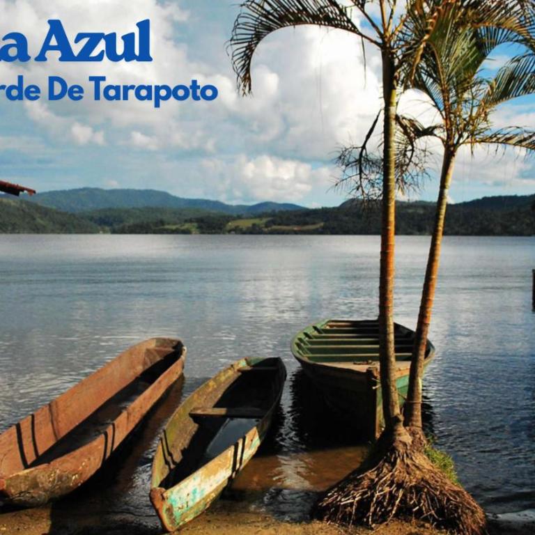 La Brisa Verde de Tarapoto - Three-Bedroom Villa - 20