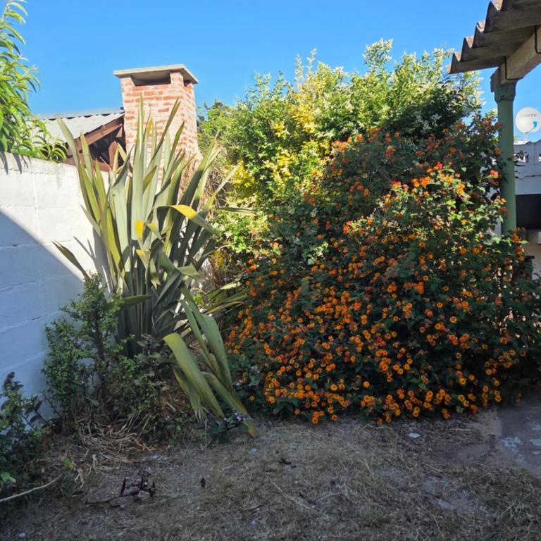 Alelur - Casa de 3 dormitorios - 31