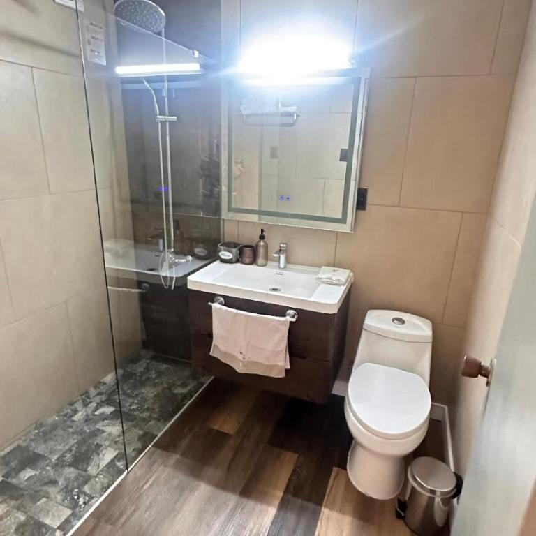 Departamento Pleno Centro Puerto Varas - Two-Bedroom Apartment - 7
